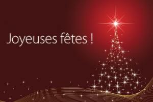 Joyeuses fêtes de fin d'anée